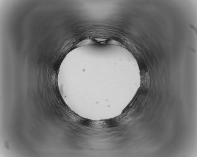 X0000097860333200804111159