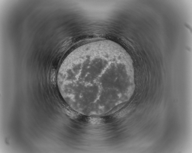 X0000097860336200804111159