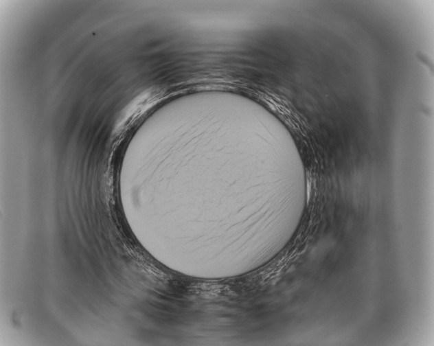 X0000097860339200804111159