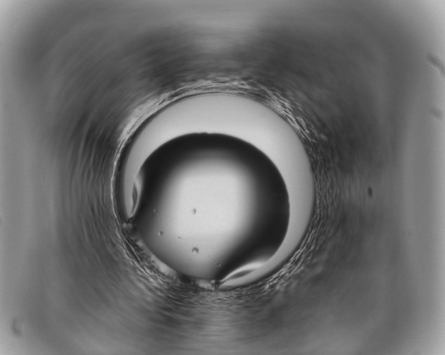 X0000097860340200804111159