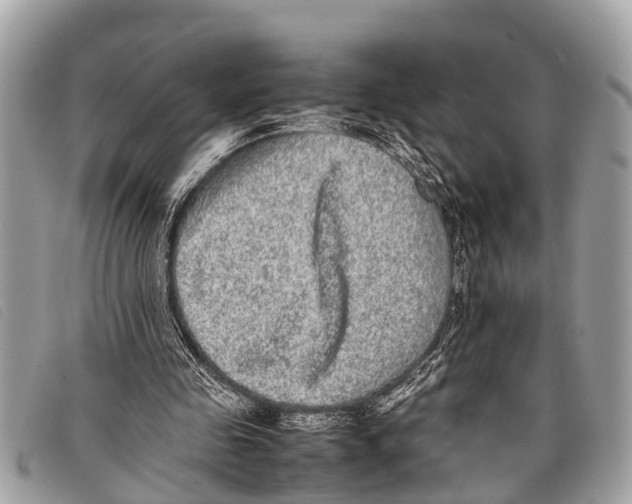 X0000097860341200804111159