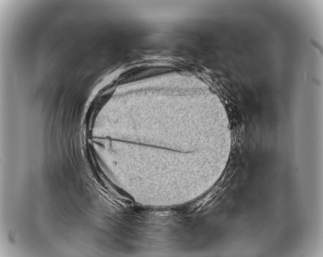 X0000097860342200804111159