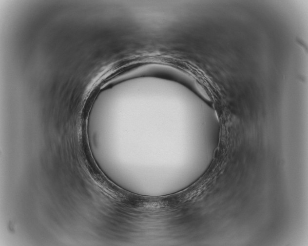 X0000097860344200804111159