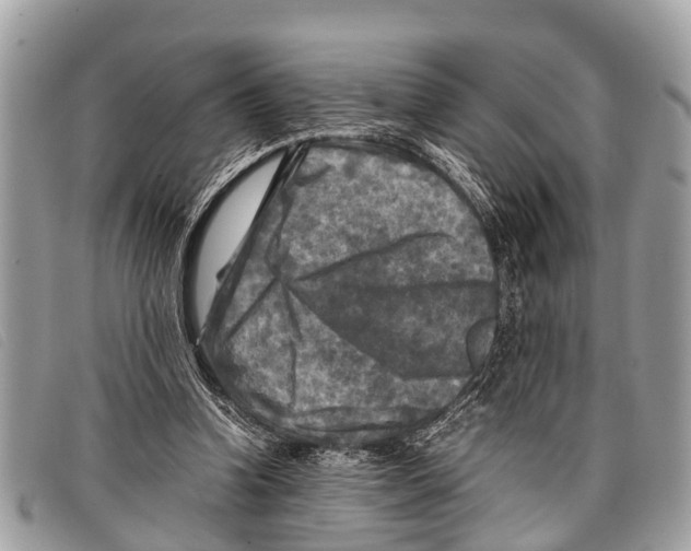 X0000097860346200804111159