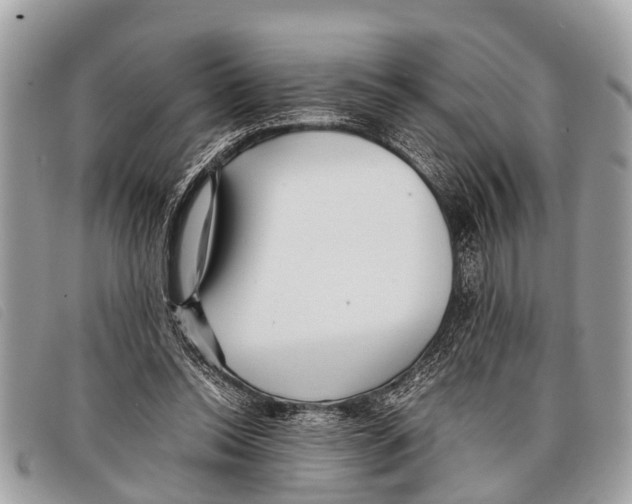 X0000097860350200804111159