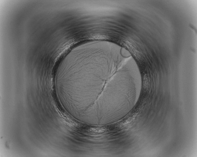 X0000097860351200804111159