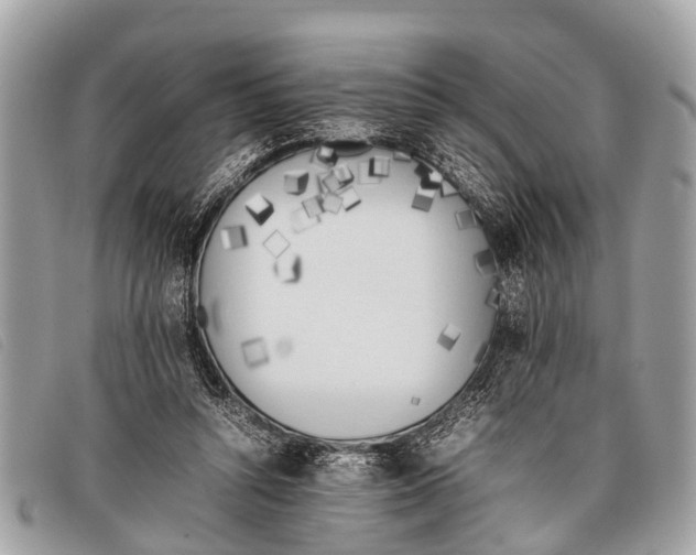 X0000097860352200804111159