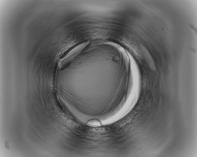 X0000097860353200804111159