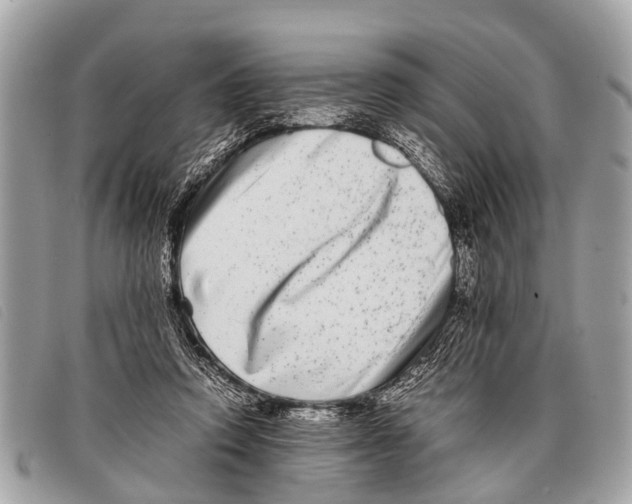 X0000097860354200804111159