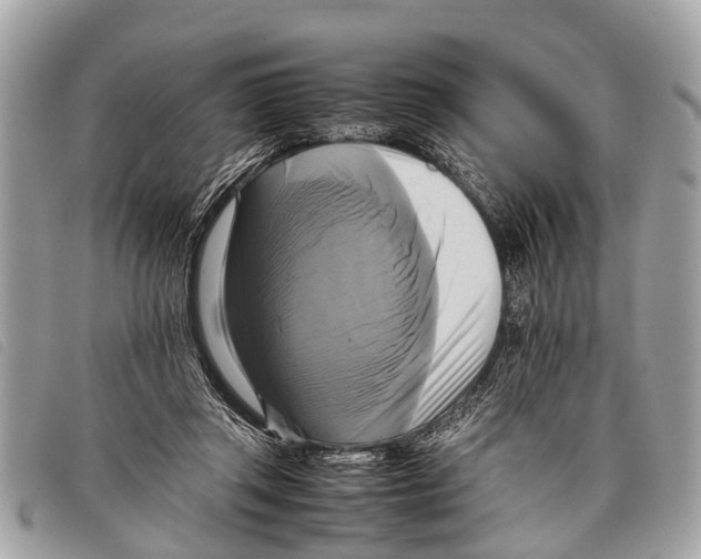 X0000097860357200804111159