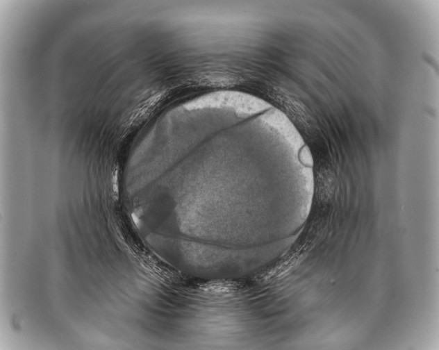 X0000097860358200804111159