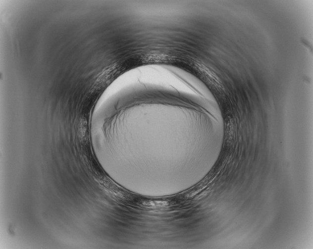 X0000097860361200804111159