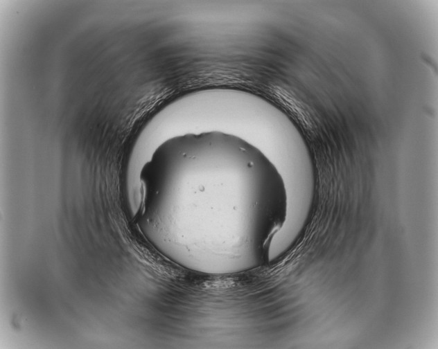 X0000097860362200804111159