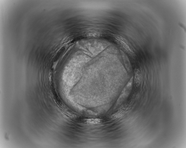 X0000097860363200804111159