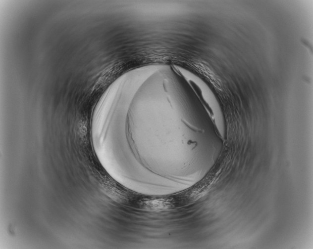 X0000097860365200804111159