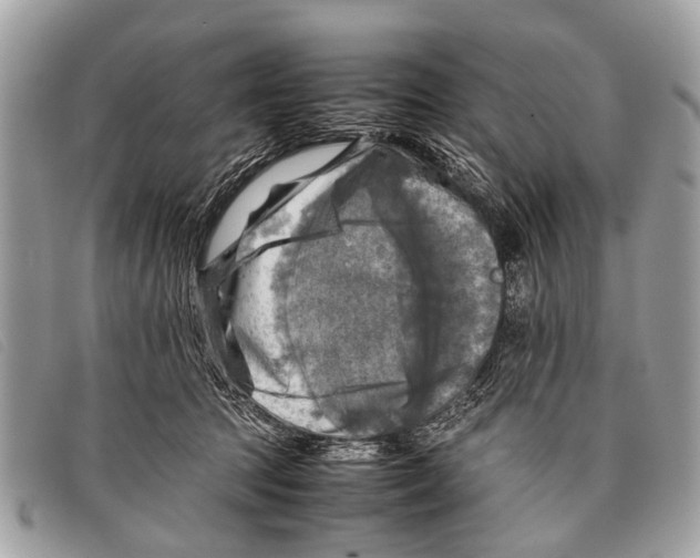 X0000097860369200804111159