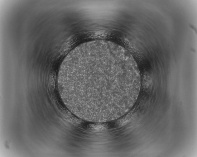 X0000097860370200804111159