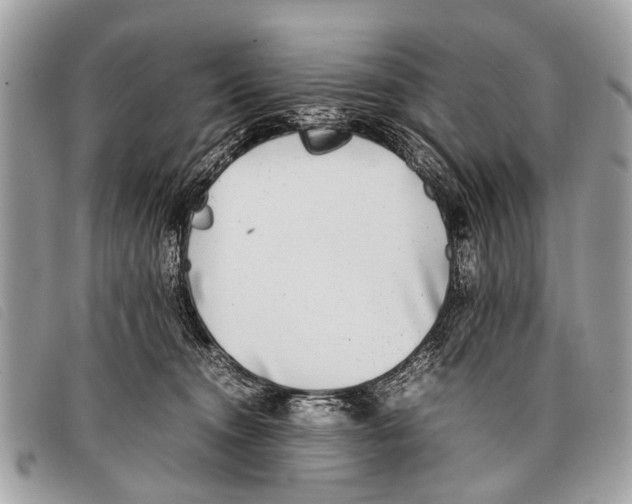 X0000097860372200804111159