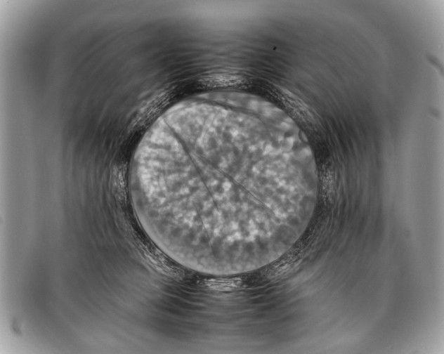 X0000097860373200804111159