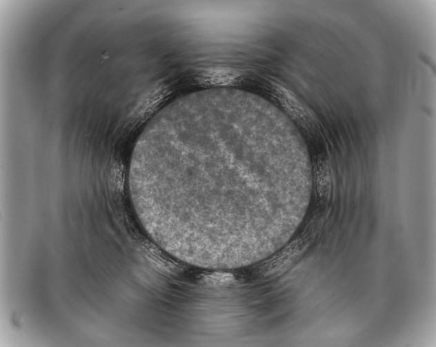 X0000097860374200804111159