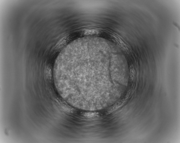 X0000097860375200804111159