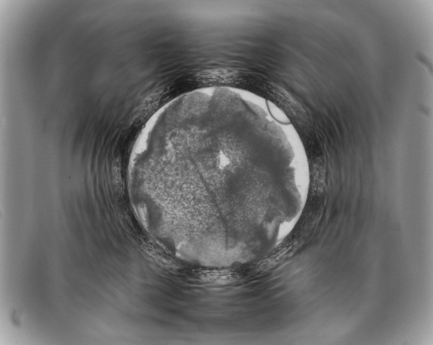 X0000097860377200804111159