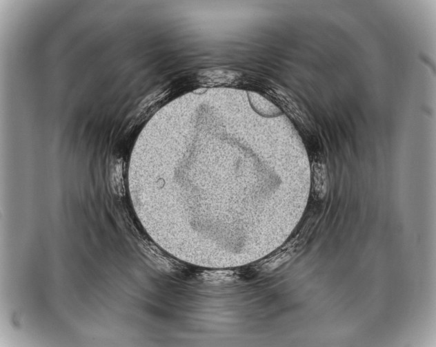 X0000097860378200804111159