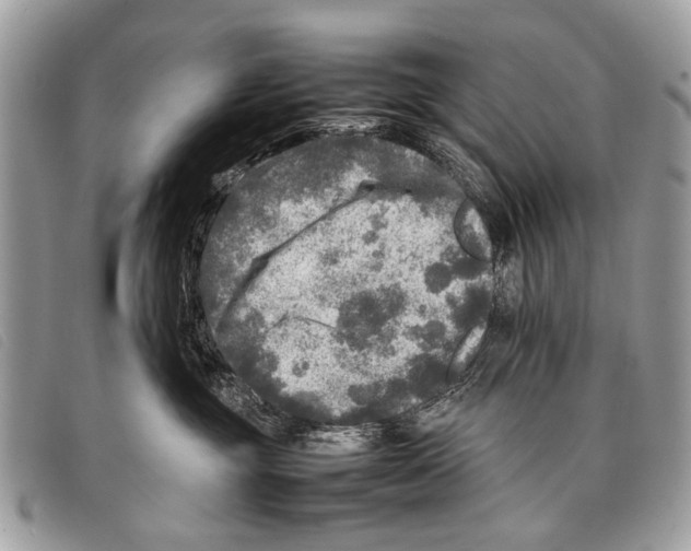 X0000097860381200804111159