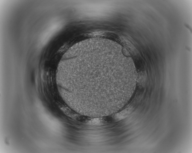 X0000097860382200804111159