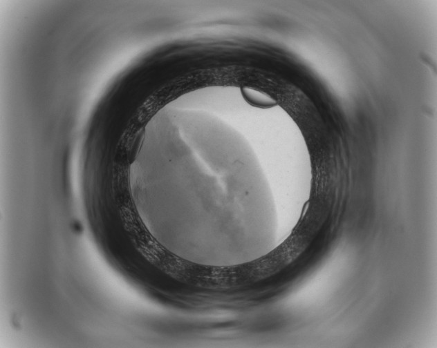 X0000097860383200804111159