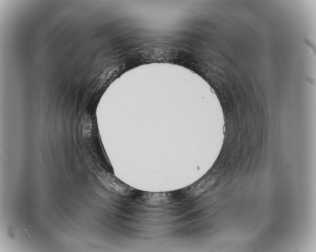 X0000097860384200804111159