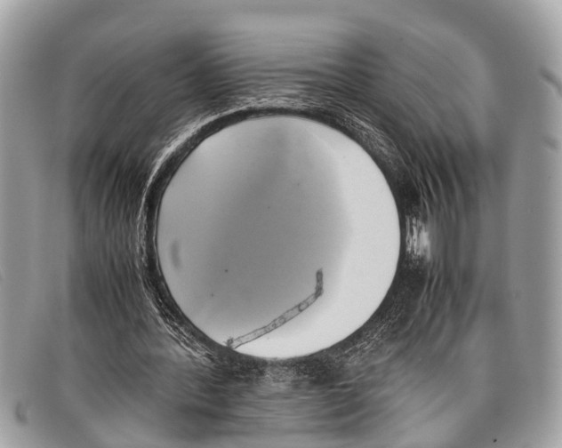 X0000097860388200804111159