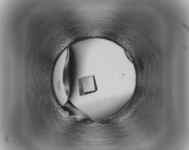 X0000097860393200804111159