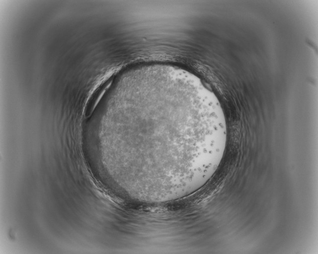 X0000097860395200804111159