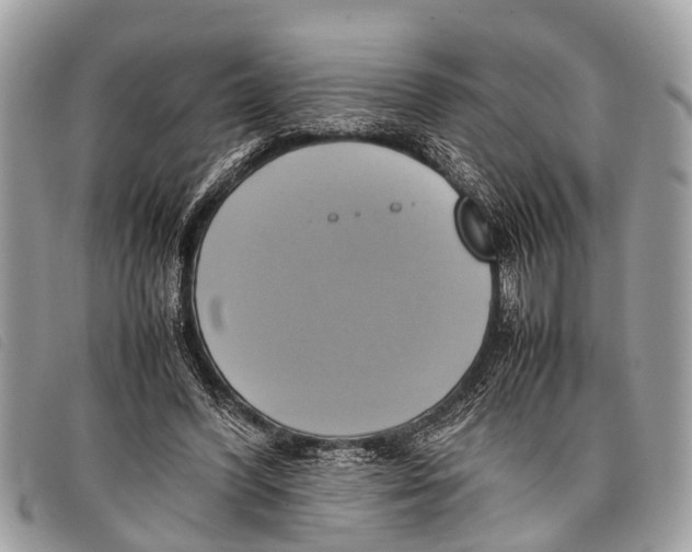 X0000097860396200804111159