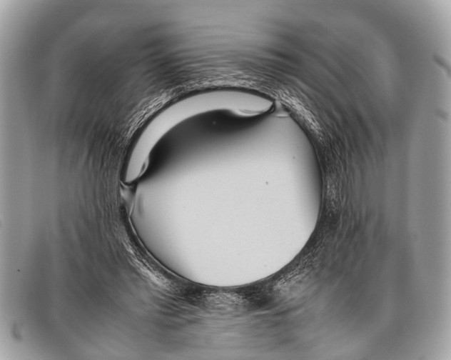 X0000097860397200804111159