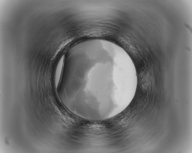 X0000097860400200804111158