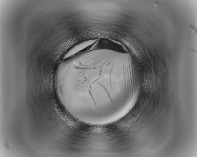 X0000097860402200804111158