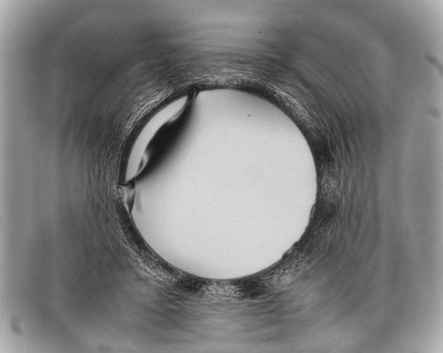 X0000097860403200804111158