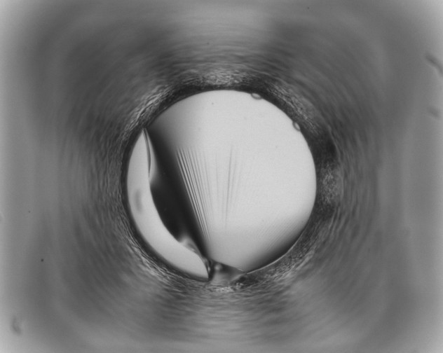 X0000097860407200804111158