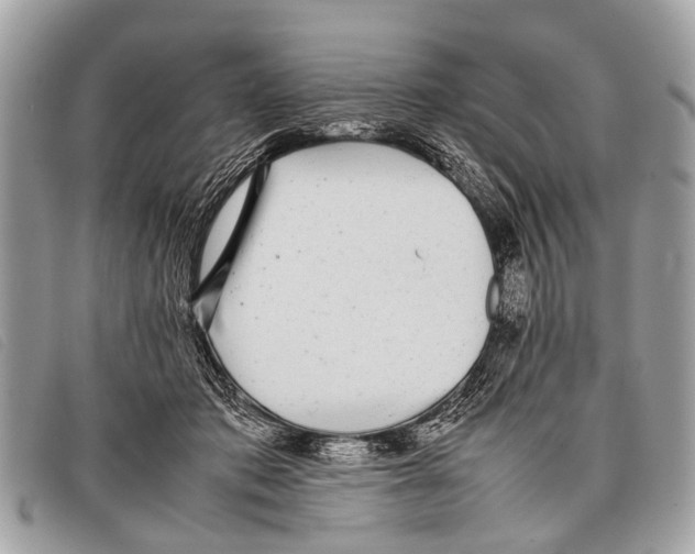 X0000097860413200804111158