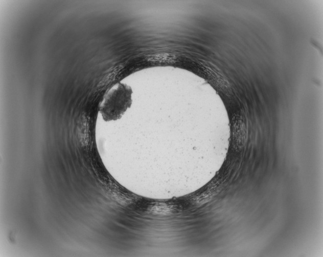 X0000097860416200804111158