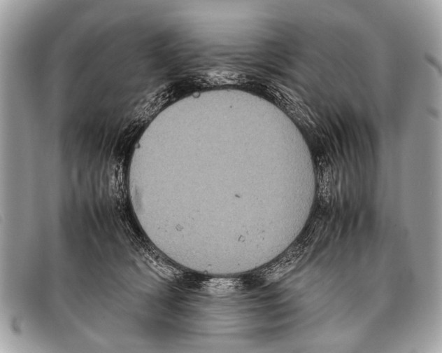 X0000097860418200804111158