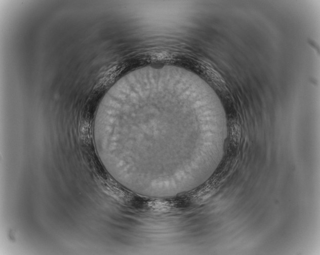 X0000097860419200804111158