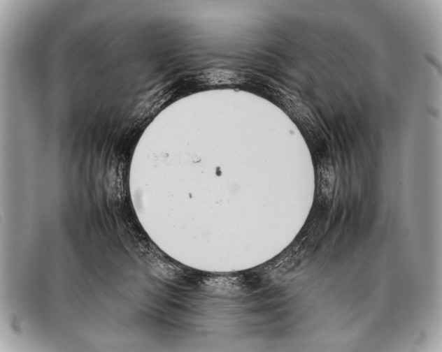 X0000097860422200804111158