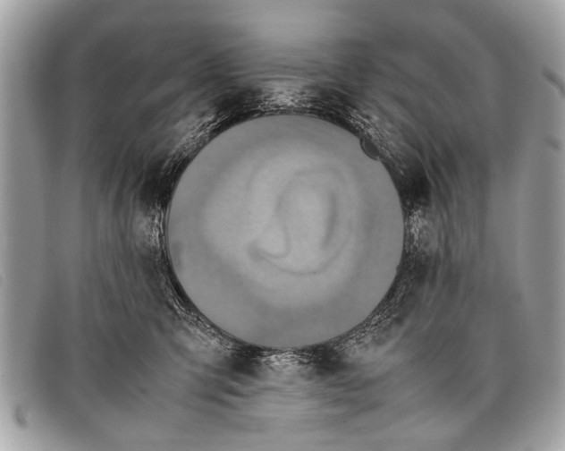 X0000097860423200804111158