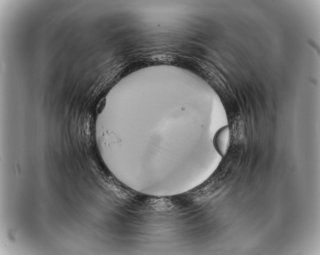 X0000097860424200804111158