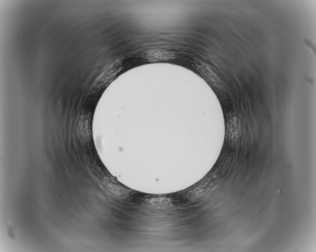 X0000097860426200804111158