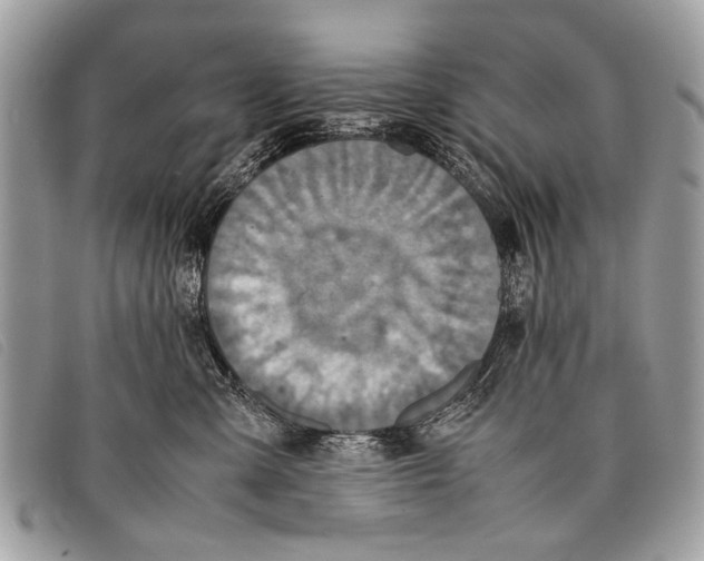 X0000097860427200804111158