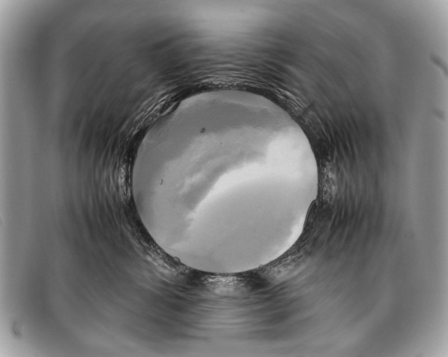 X0000097860428200804111158